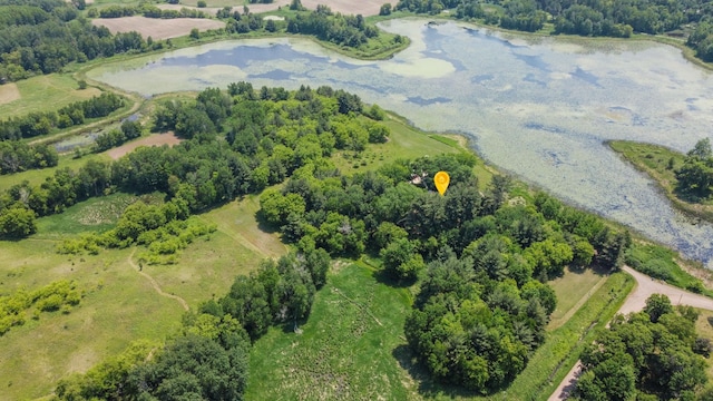 35301 Lily St NW, Springvale Twp, MN 55008 - aerial overview of property's location featuring a large body of water