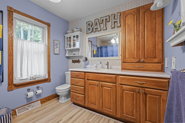 35301 Lily St NW, Springvale Twp, MN 55008 - bathroom featuring vanity, wood finished floors, toilet, curtained shower, and decorative backsplash