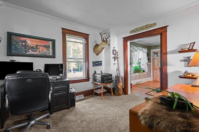 35301 Lily St NW, Springvale Twp, MN 55008 - carpeted office space featuring ornamental molding and baseboards