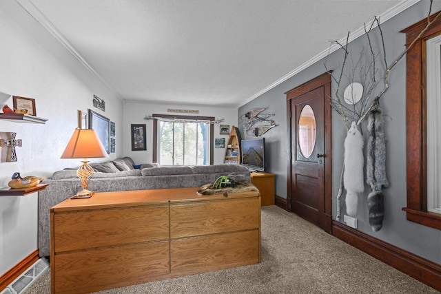 35301 Lily St NW, Springvale Twp, MN 55008 - living room featuring carpet flooring, ornamental molding, and baseboards