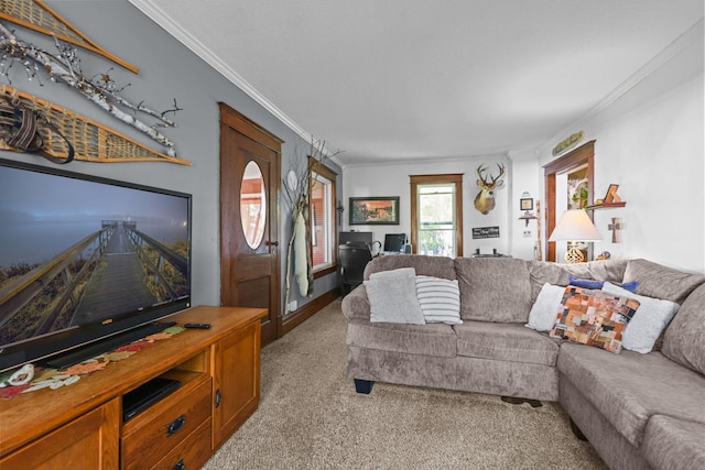 35301 Lily St NW, Springvale Twp, MN 55008 - living room featuring ornamental molding and carpet flooring