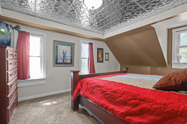 35301 Lily St NW, Springvale Twp, MN 55008 - bedroom featuring an ornate ceiling, carpet, and baseboards