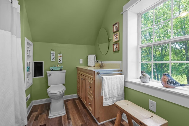 35301 Lily St NW, Springvale Twp, MN 55008 - bathroom featuring vanity, vaulted ceiling, toilet, and wood finished floors