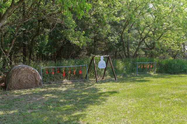 35301 Lily St NW, Springvale Twp, MN 55008 - view of grassy yard