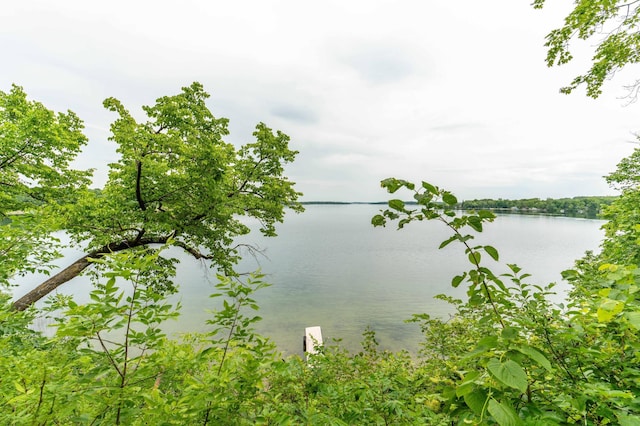 22054 Nirvana Trl, Vining, MN 56588 - photo 7