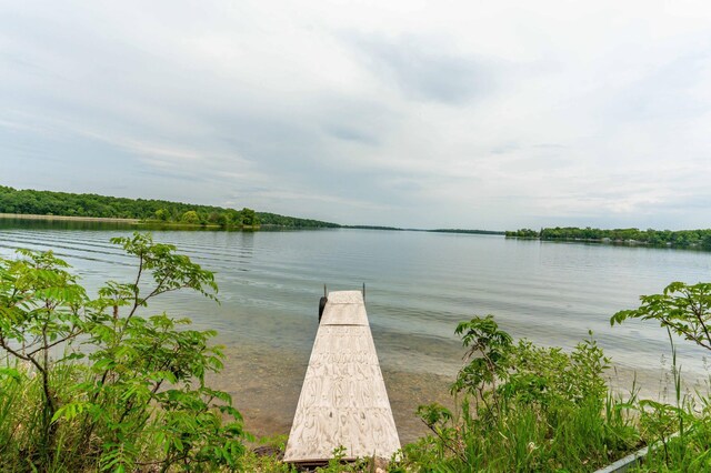 22054 Nirvana Trl, Vining, MN 56588 - photo 14