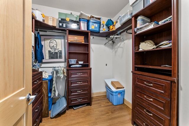 620 Main St N Unit 412, Stillwater, MN 55082 - spacious closet with light wood-type flooring
