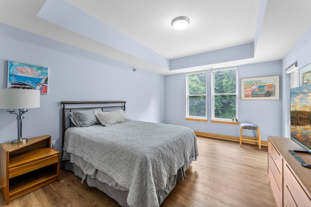 620 Main St N Unit 412, Stillwater, MN 55082 - bedroom with a tray ceiling and wood finished floors
