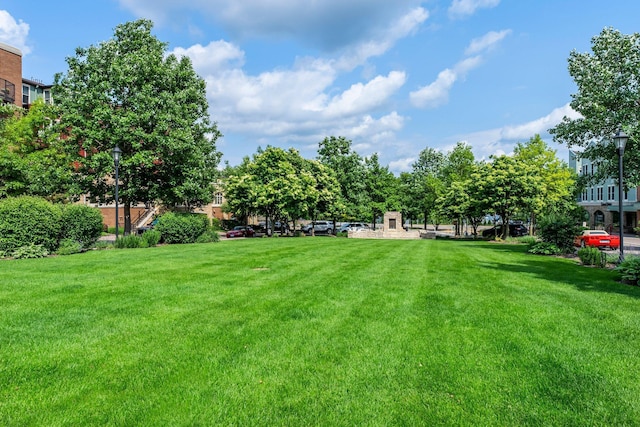 620 Main St N Unit 412, Stillwater, MN 55082 - view of grassy yard