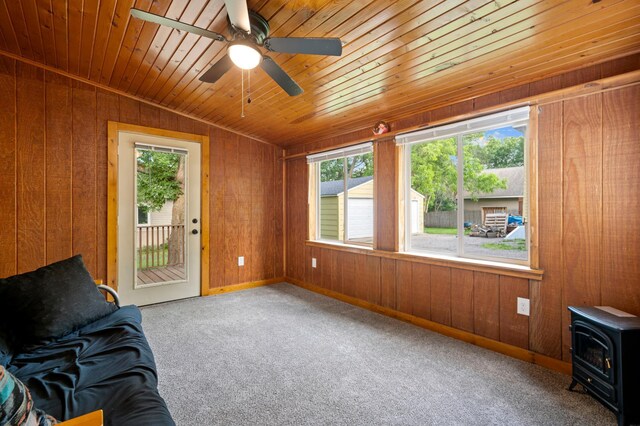 827 Central Ave N, Faribault, MN 55021 - photo 13