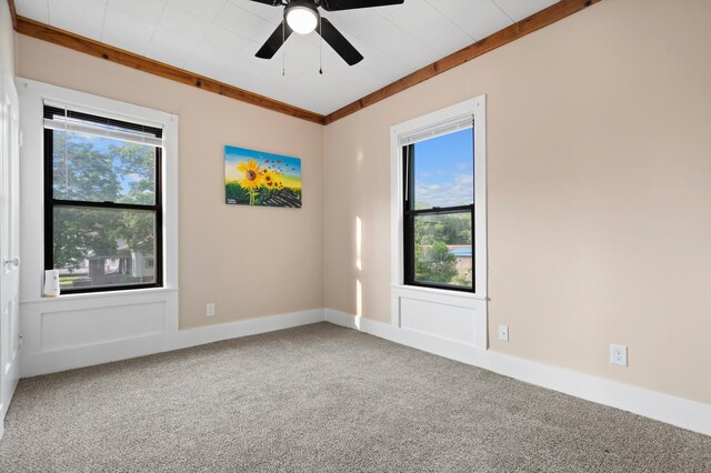 827 Central Ave N, Faribault, MN 55021 - photo 23