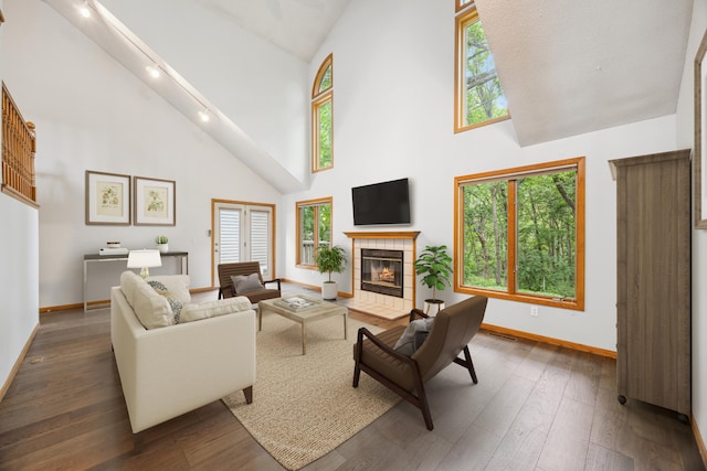 7813 111th St, Bloomington, MN 55438 - living area featuring high vaulted ceiling, track lighting, hardwood / wood-style flooring, and plenty of natural light