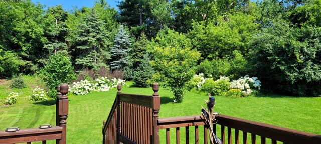 4427 Chatsworth St N, Shoreview, MN 55126 - view of green lawn
