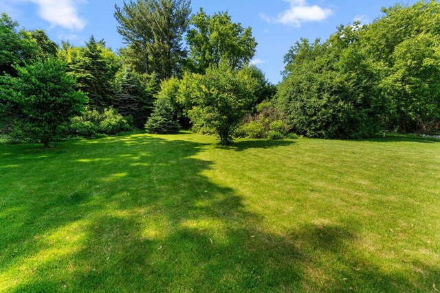 4427 Chatsworth St N, Shoreview, MN 55126 - view of green lawn