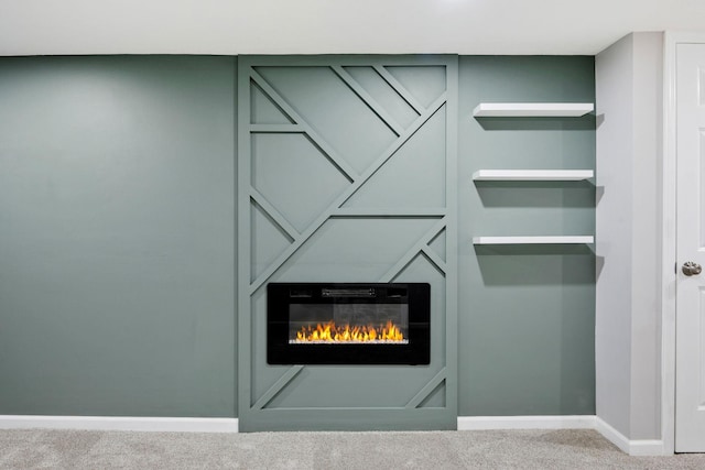 5814 Ewing Ave N, Brooklyn Center, MN 55429 - detailed view of carpet and a glass covered fireplace
