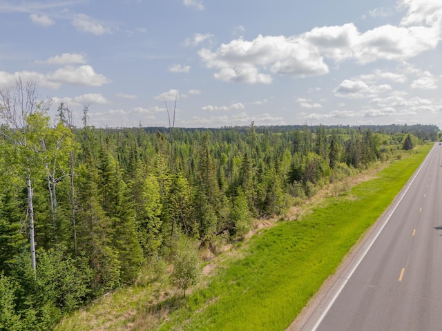 TBD Plantangenet Rd SE, Bemidji Twp, MN 56601