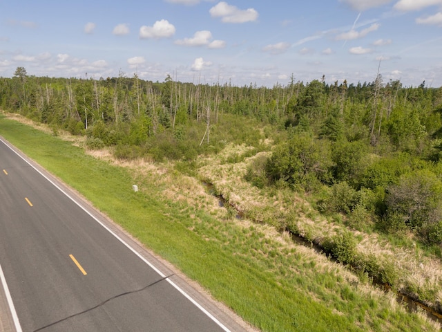 TBD Plantangenet Rd SE, Bemidji Twp, MN 56601