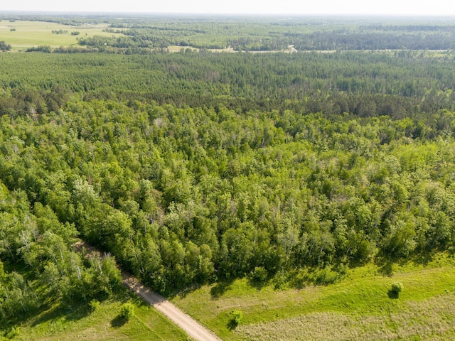 TBD Plantangenet Rd SE, Bemidji Twp, MN 56601