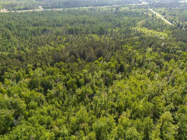 TBD Plantangenet Rd SE, Bemidji Twp, MN 56601