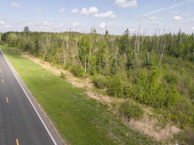 TBD Plantangenet Rd SE, Bemidji Twp, MN 56601