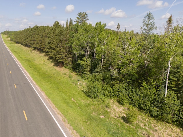TBD Plantangenet Rd SE, Bemidji Twp, MN 56601
