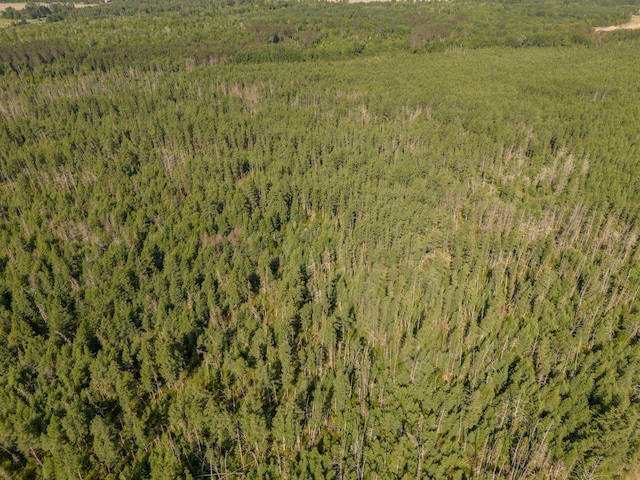 TBD Plantangenet Rd SE, Bemidji Twp, MN 56601