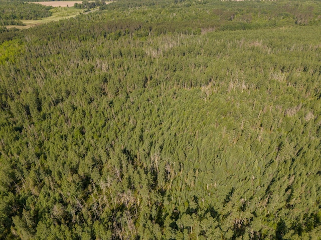TBD Plantangenet Rd SE, Bemidji Twp, MN 56601