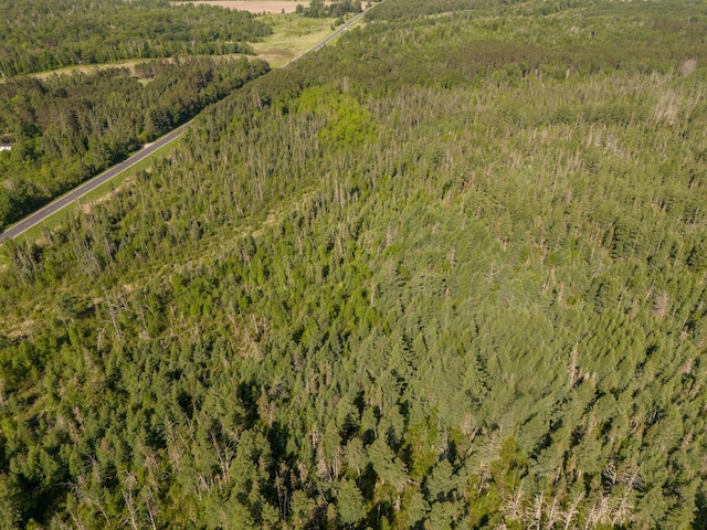 TBD Plantangenet Rd SE, Bemidji Twp, MN 56601