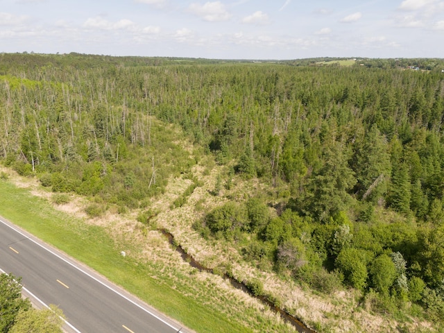 TBD Plantangenet Rd SE, Bemidji Twp, MN 56601