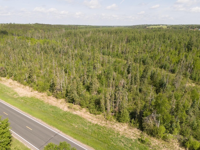 TBD Plantangenet Rd SE, Bemidji Twp, MN 56601