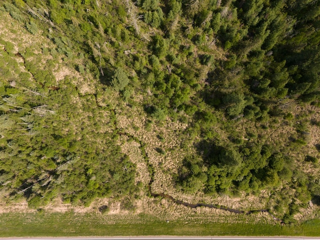 TBD Plantangenet Rd SE, Bemidji Twp, MN 56601