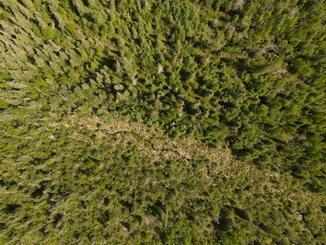 TBD Plantangenet Rd SE, Bemidji Twp, MN 56601
