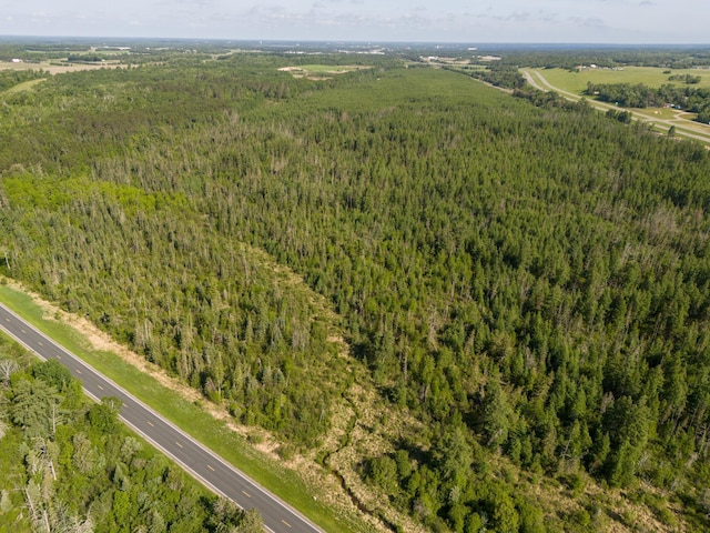 TBD Plantangenet Rd SE, Bemidji Twp, MN 56601