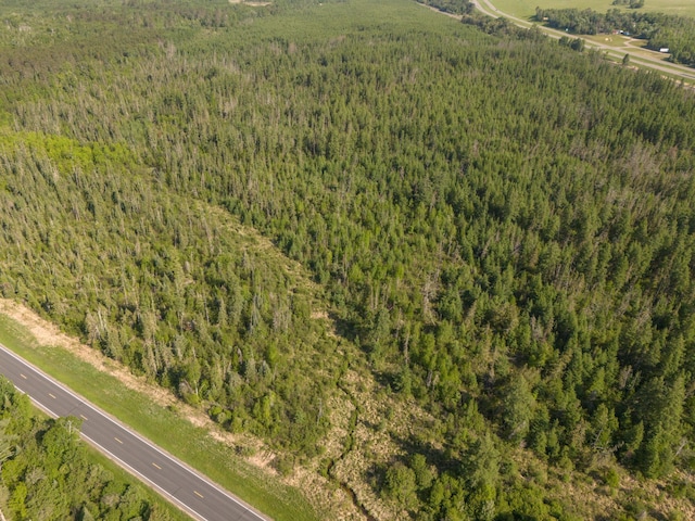 TBD Plantangenet Rd SE, Bemidji Twp, MN 56601