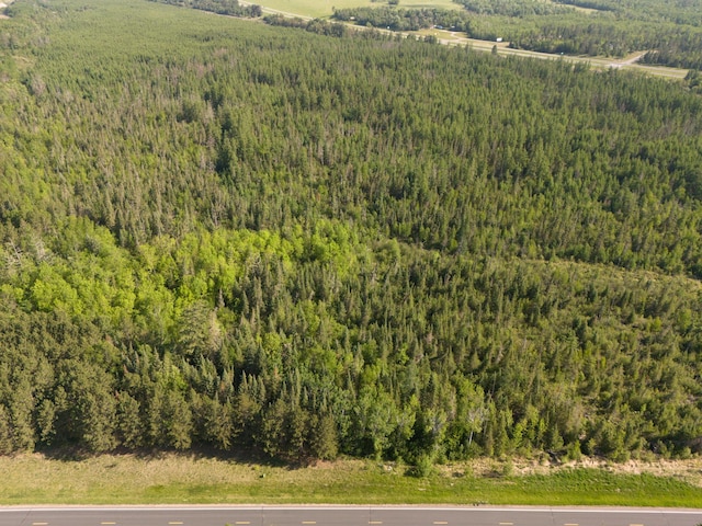 TBD Plantangenet Rd SE, Bemidji Twp, MN 56601