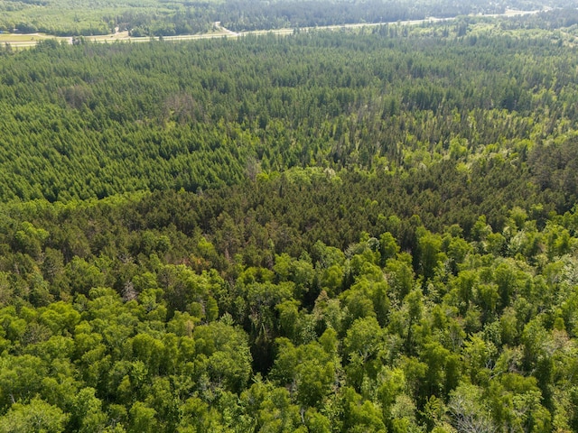TBD Plantangenet Rd SE, Bemidji Twp, MN 56601