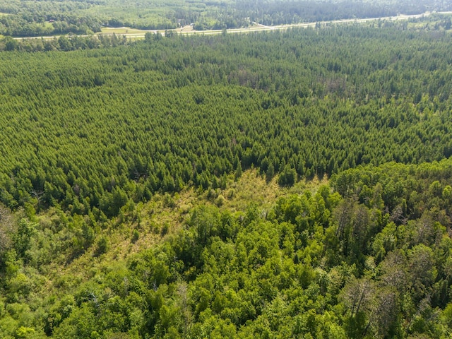 TBD Plantangenet Rd SE, Bemidji Twp, MN 56601