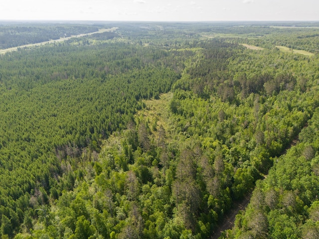 TBD Plantangenet Rd SE, Bemidji Twp, MN 56601