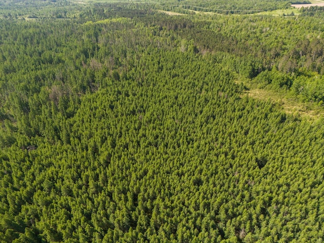 TBD Plantangenet Rd SE, Bemidji Twp, MN 56601