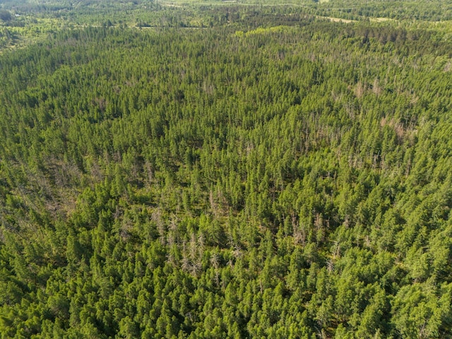 TBD Plantangenet Rd SE, Bemidji Twp, MN 56601