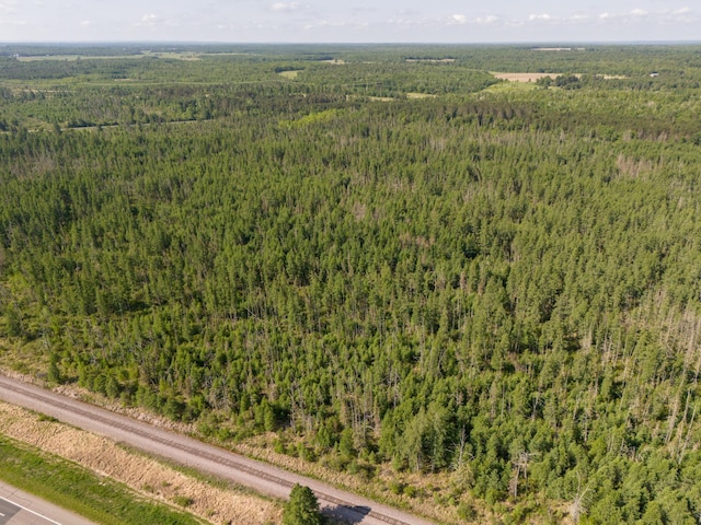 TBD Plantangenet Rd SE, Bemidji Twp, MN 56601