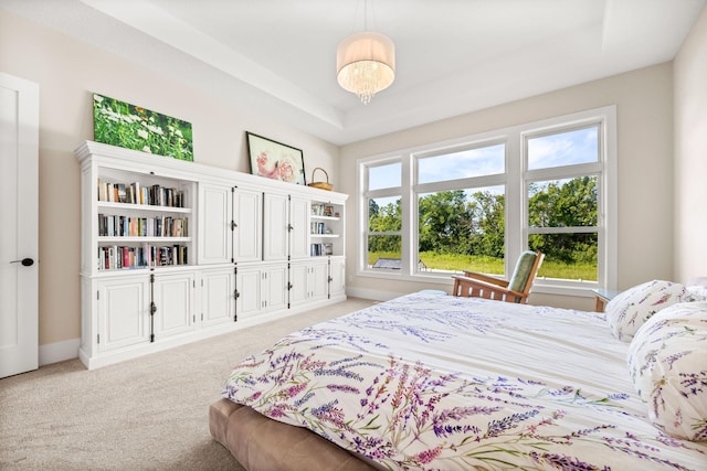 2995 86th St SE, Delano, MN 55328 - bedroom with light colored carpet and a raised ceiling