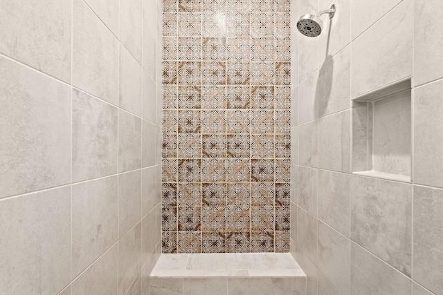 2995 86th St SE, Delano, MN 55328 - bathroom view of tiled shower