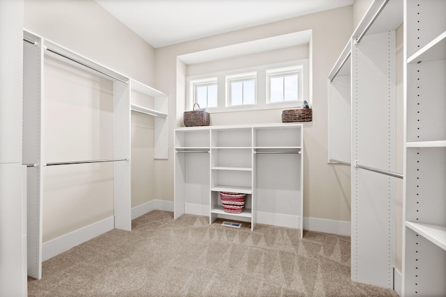 2995 86th St SE, Delano, MN 55328 - walk in closet featuring light colored carpet