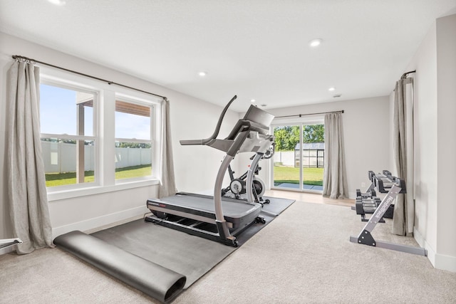 2995 86th St SE, Delano, MN 55328 - exercise area featuring carpet flooring and recessed lighting