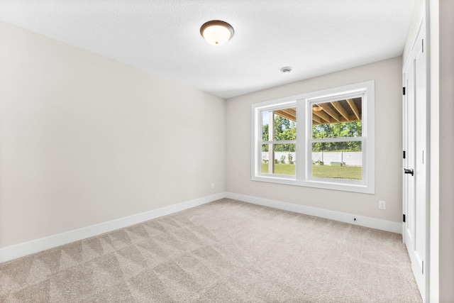 2995 86th St SE, Delano, MN 55328 - carpeted empty room with baseboards