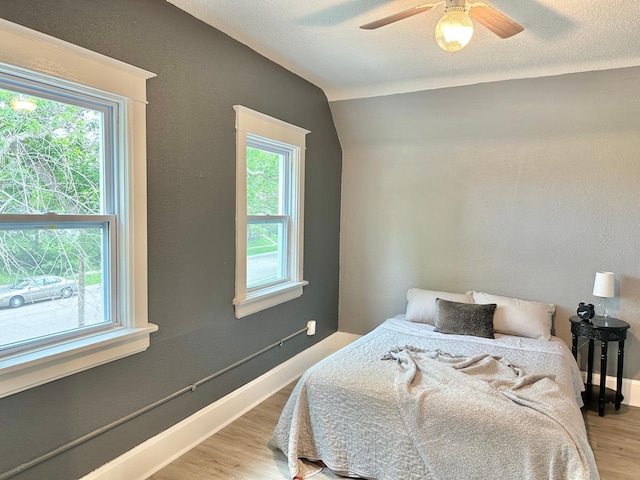 803 Jefferson Ave, Albert Lea, MN 56007 - bedroom featuring wood finished floors, multiple windows, vaulted ceiling, a ceiling fan, and baseboards