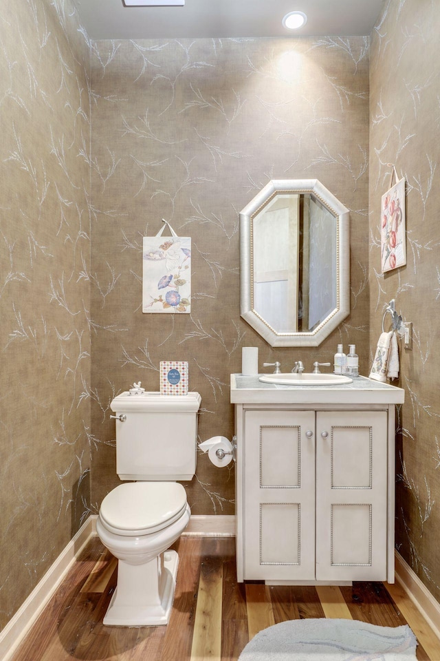 10025 Adam Ave, Inver Grove Heights, MN 55077 - half bath featuring wood finished floors and vanity