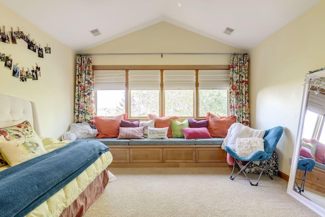 10025 Adam Ave, Inver Grove Heights, MN 55077 - bedroom featuring light carpet and lofted ceiling