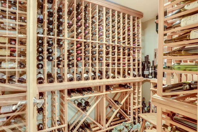 10025 Adam Ave, Inver Grove Heights, MN 55077 - view of wine cellar